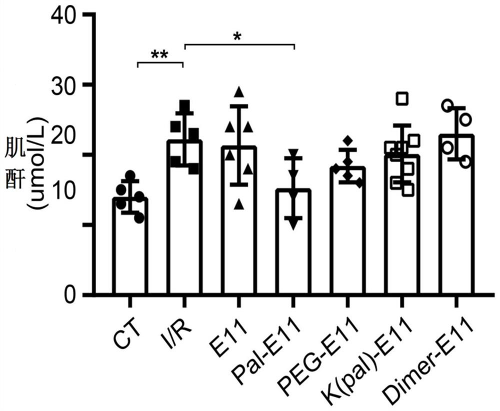 Construction of a long-acting polypeptide and its application in anti-acute kidney injury and diabetic nephropathy