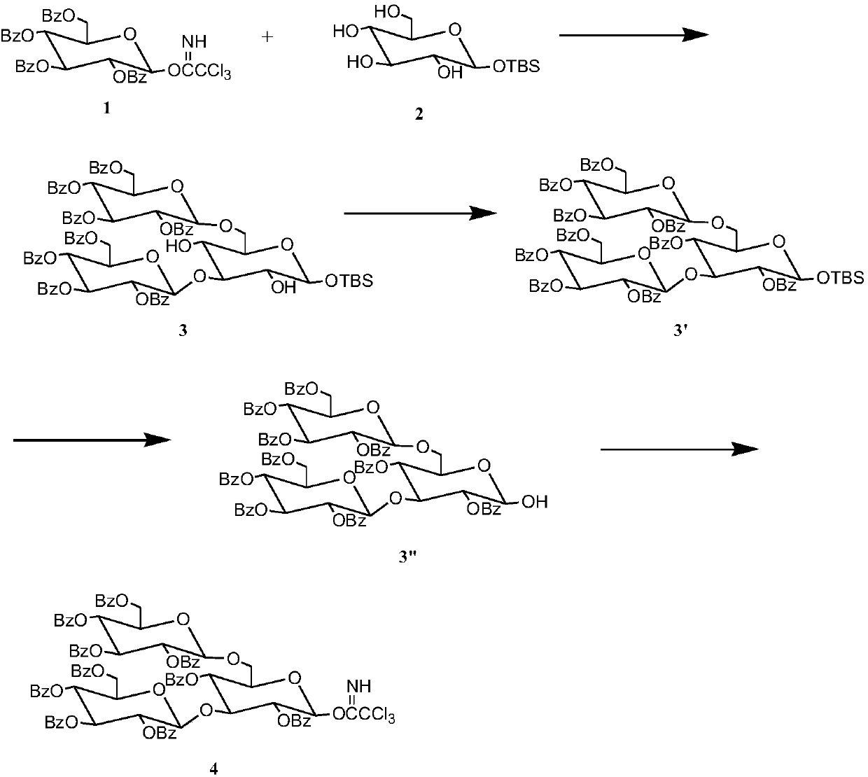 Synthetic method for 3,6-branched glucosepolyheptasaccharide