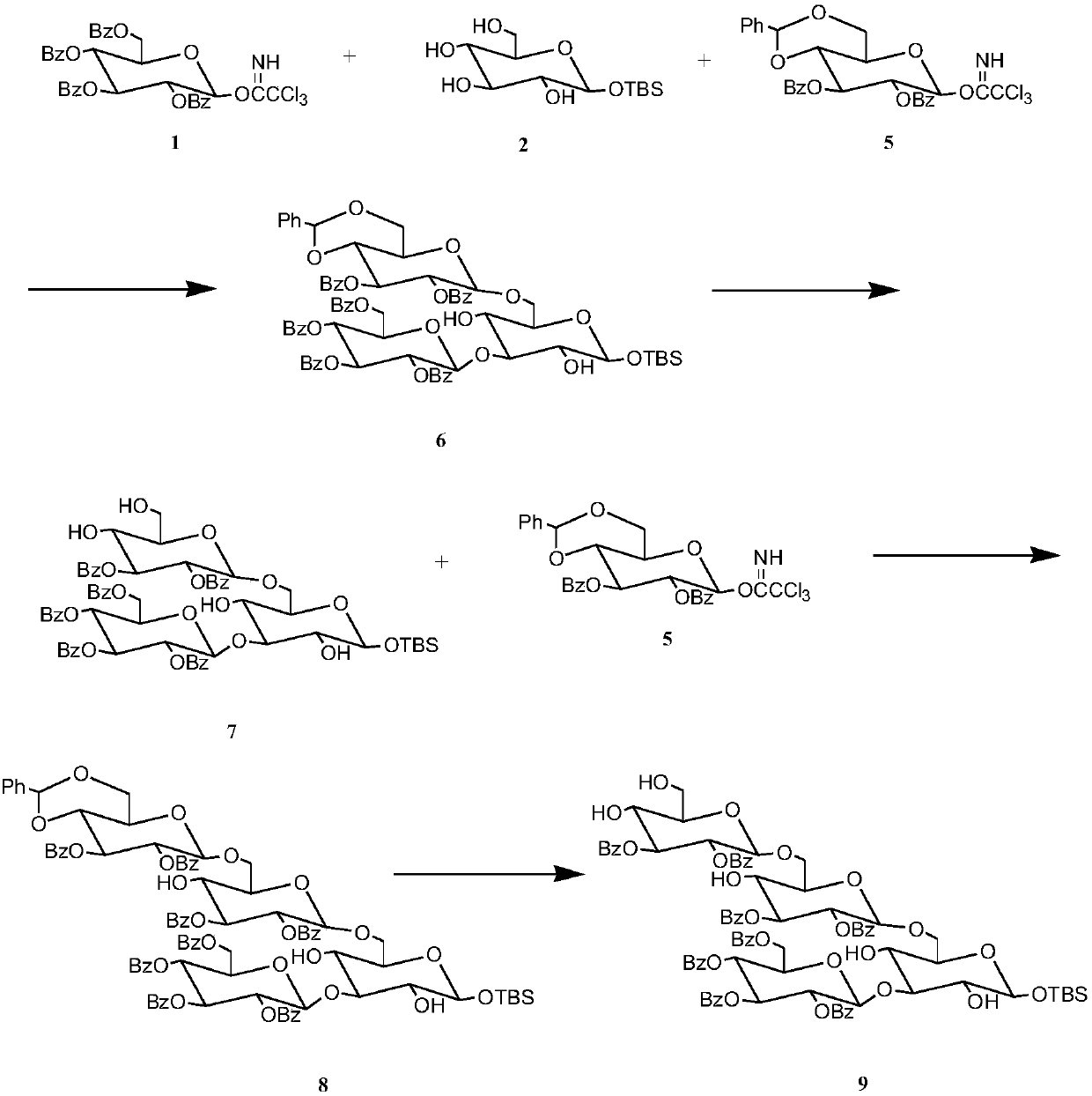 Synthetic method for 3,6-branched glucosepolyheptasaccharide