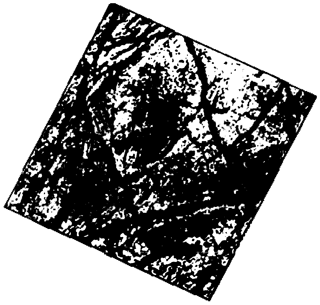 A method and device for optimizing staged fracturing parameters of horizontal wells