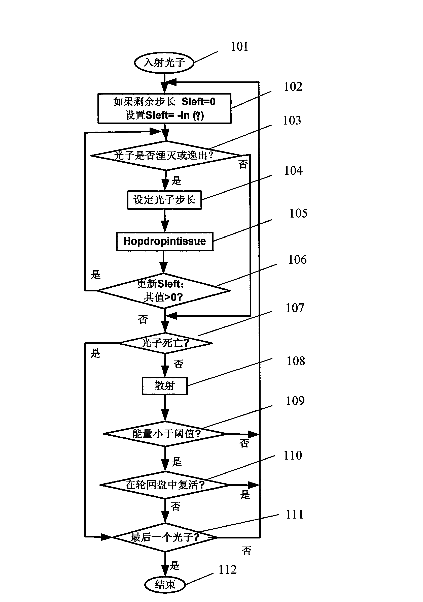 Analysis system and method for obtaining stable state/transient state light diffusion characteristic