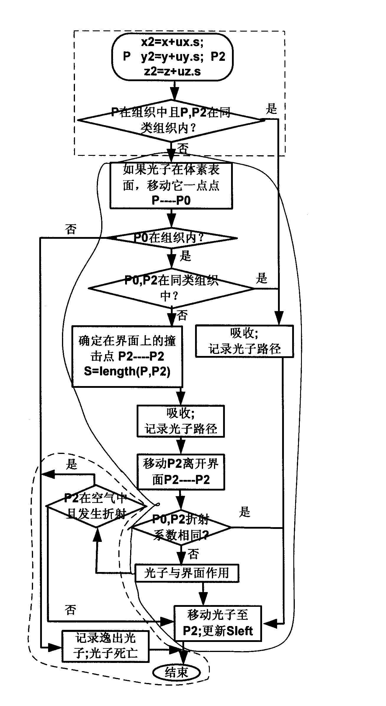 Analysis system and method for obtaining stable state/transient state light diffusion characteristic