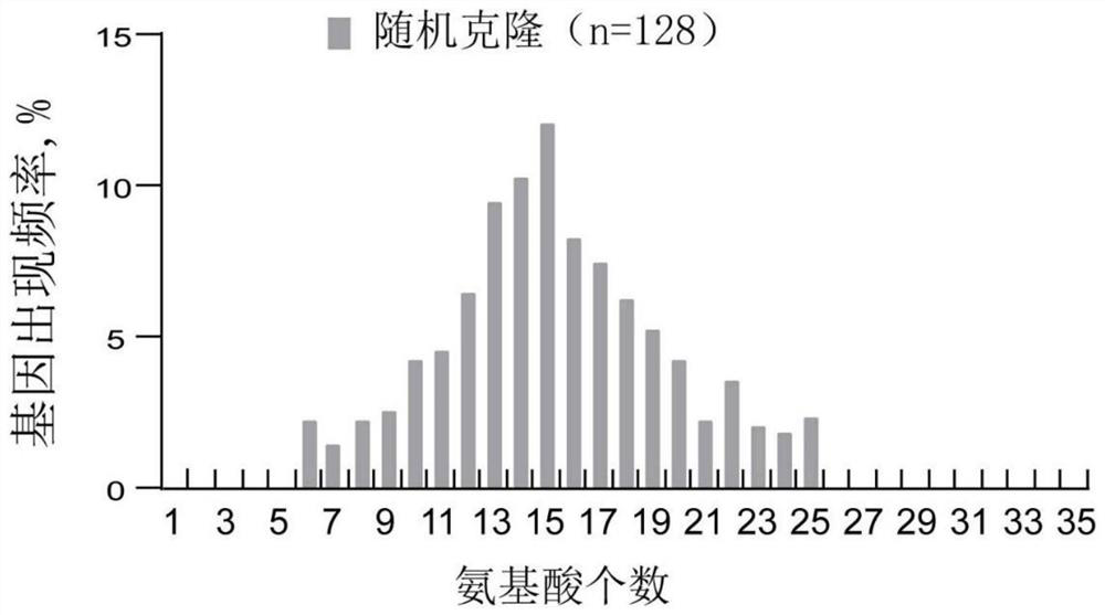 Anti-human CCL1 antibody and application thereof