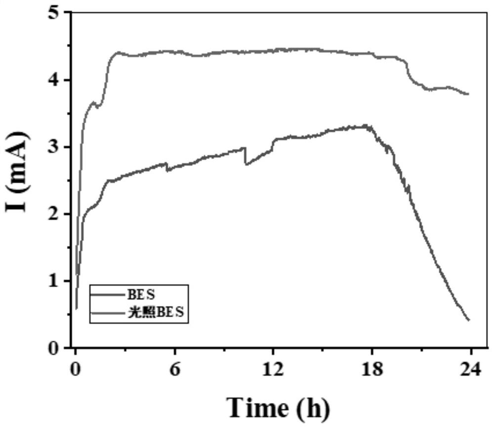 A device and method for efficiently degrading bisphenol A by light-coupled electroactive biofilm