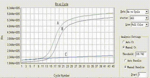 Universal shell type fluorescent reverse transcription-polymerase chain reaction (RT-PCR) detection method of bird flu virus and detection kit