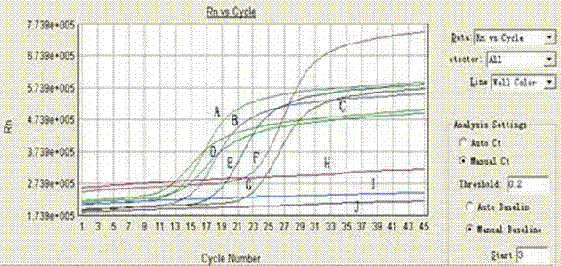 Universal shell type fluorescent reverse transcription-polymerase chain reaction (RT-PCR) detection method of bird flu virus and detection kit