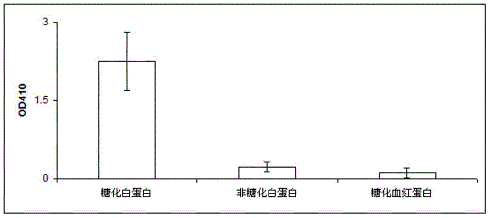 Anti-human glycated albumin monoclonal antibody and use thereof