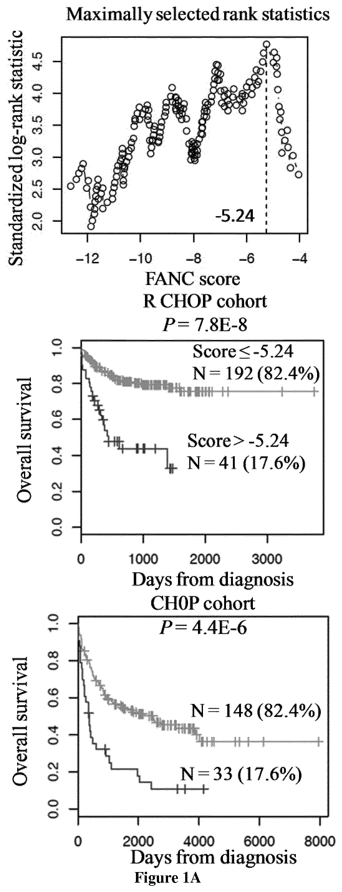 Methods for predicting response to DNA repair pathway inhibitors in diffuse large B-cell lymphoma
