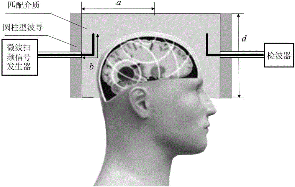 Device for detecting cephalophyma and encephaledema