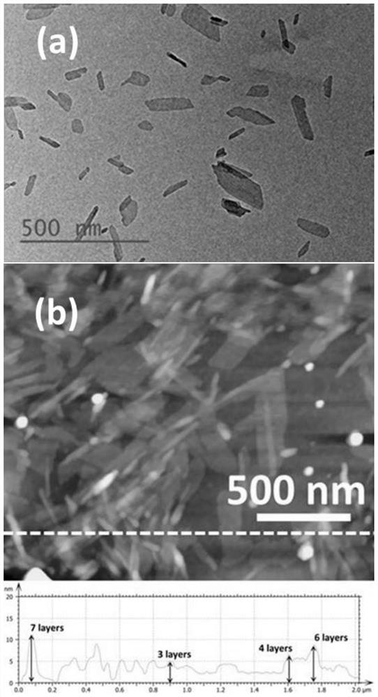 A kind of organic phototransistor and preparation method thereof
