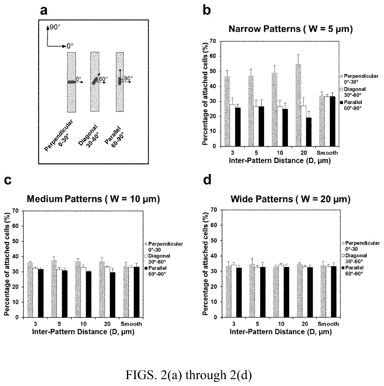 Antifouling urinary catheters with shape-memory topographic patterns