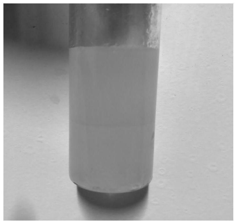 Biphasic catalyst, preparation method thereof and application of biphasic catalyst in lignocellulose biomass conversion