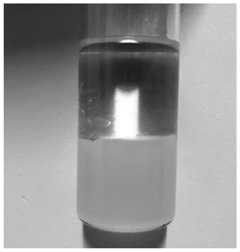 Biphasic catalyst, preparation method thereof and application of biphasic catalyst in lignocellulose biomass conversion