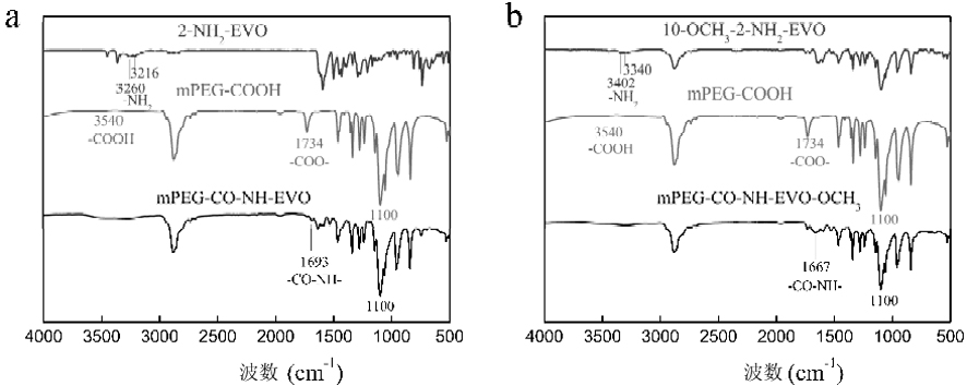 Aminoevodiamine polymer micelle and its preparation method and application