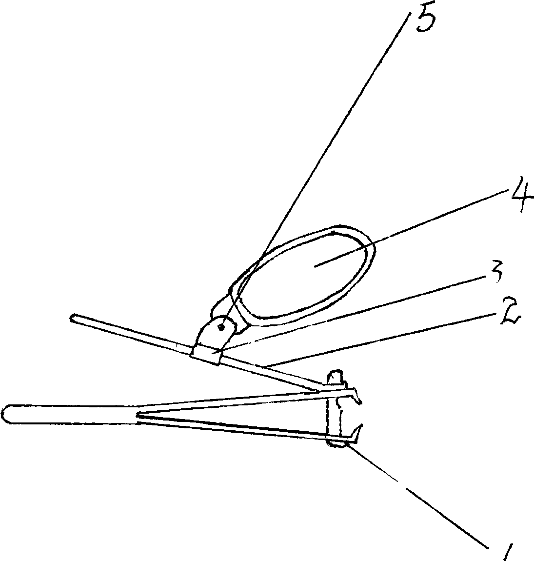 Nail scissors with enlarging function