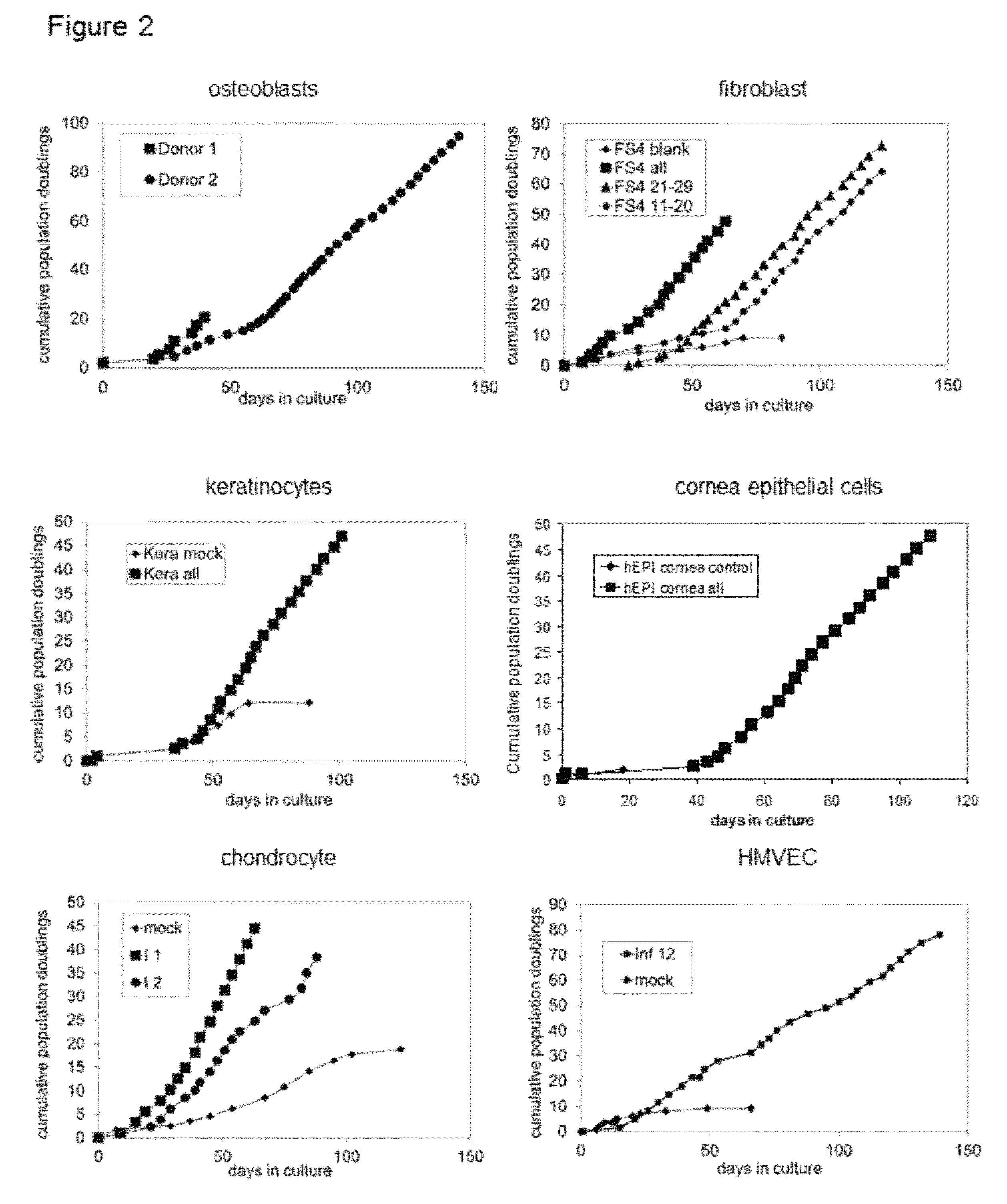 Methods and vectors for cell immortalisation