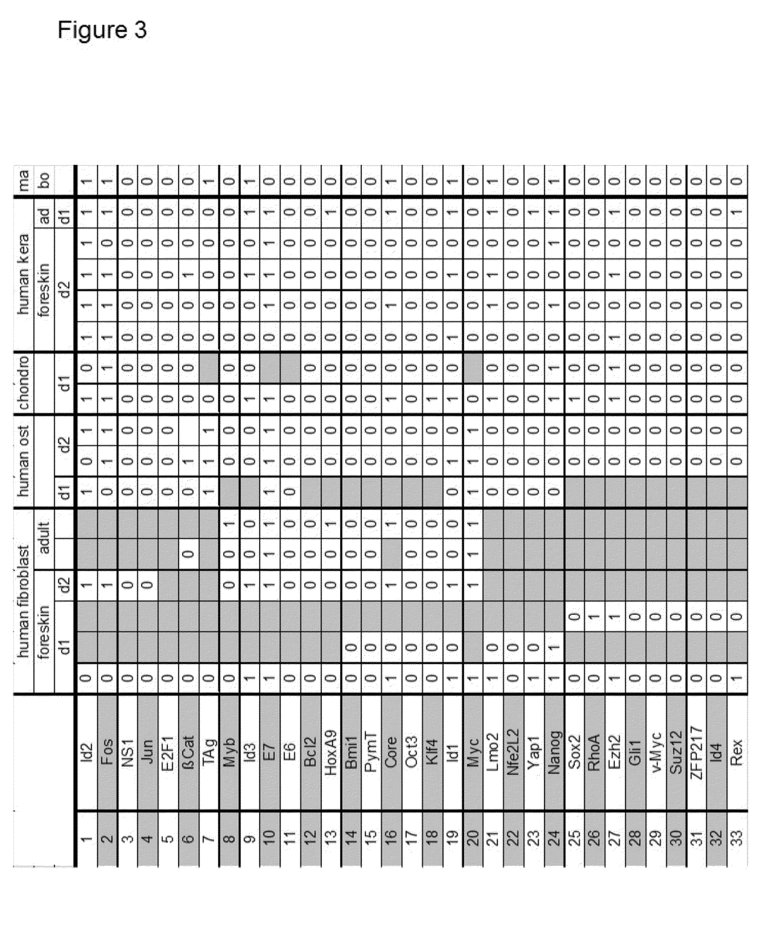 Methods and vectors for cell immortalisation