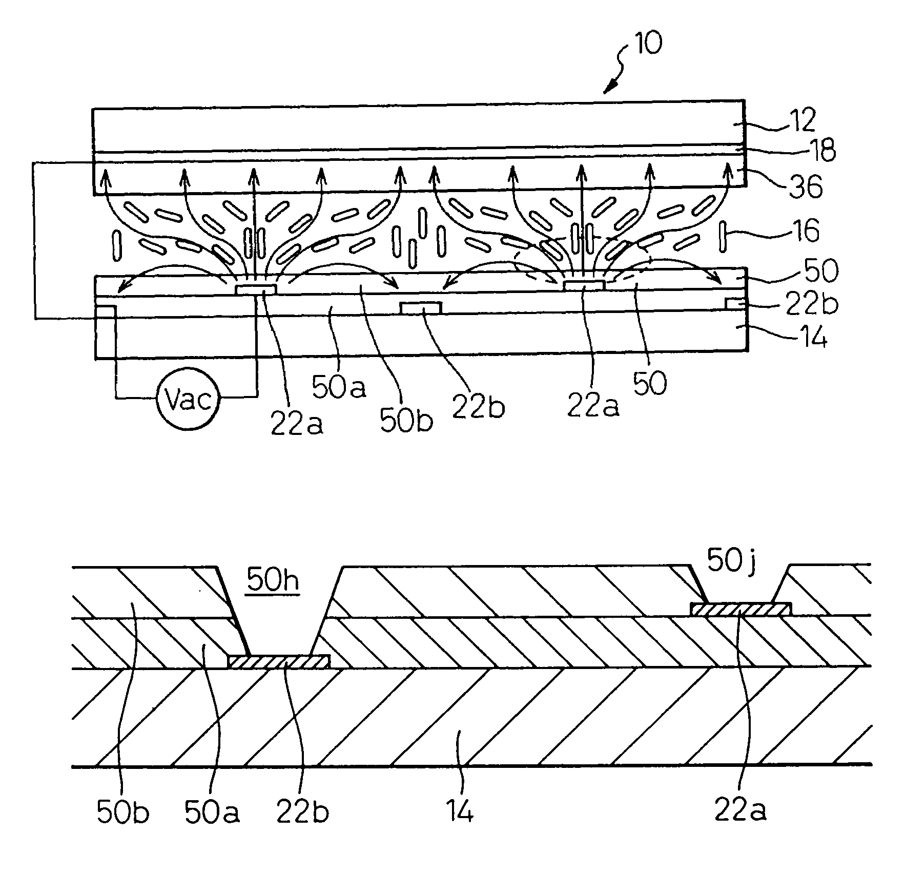 Liquid crystal display apparatus having wide transparent electrode and stripe electrodes