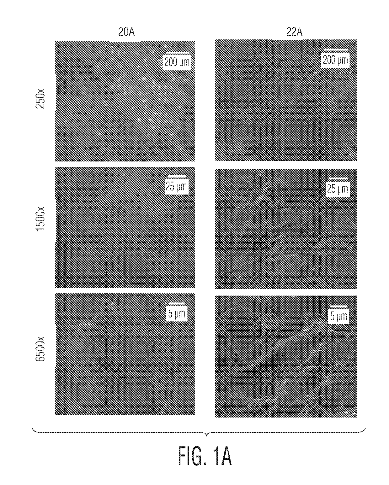 Implant surfaces that enhance osteoinduction