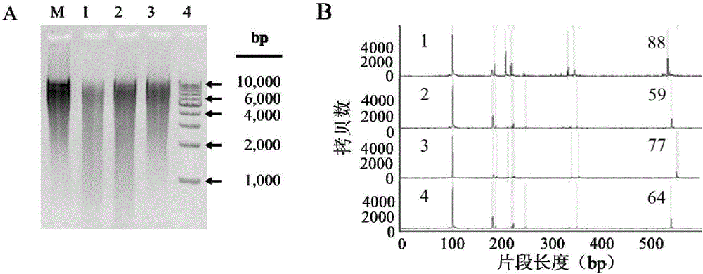 Extracting method of cellulose degradation flora metagenome