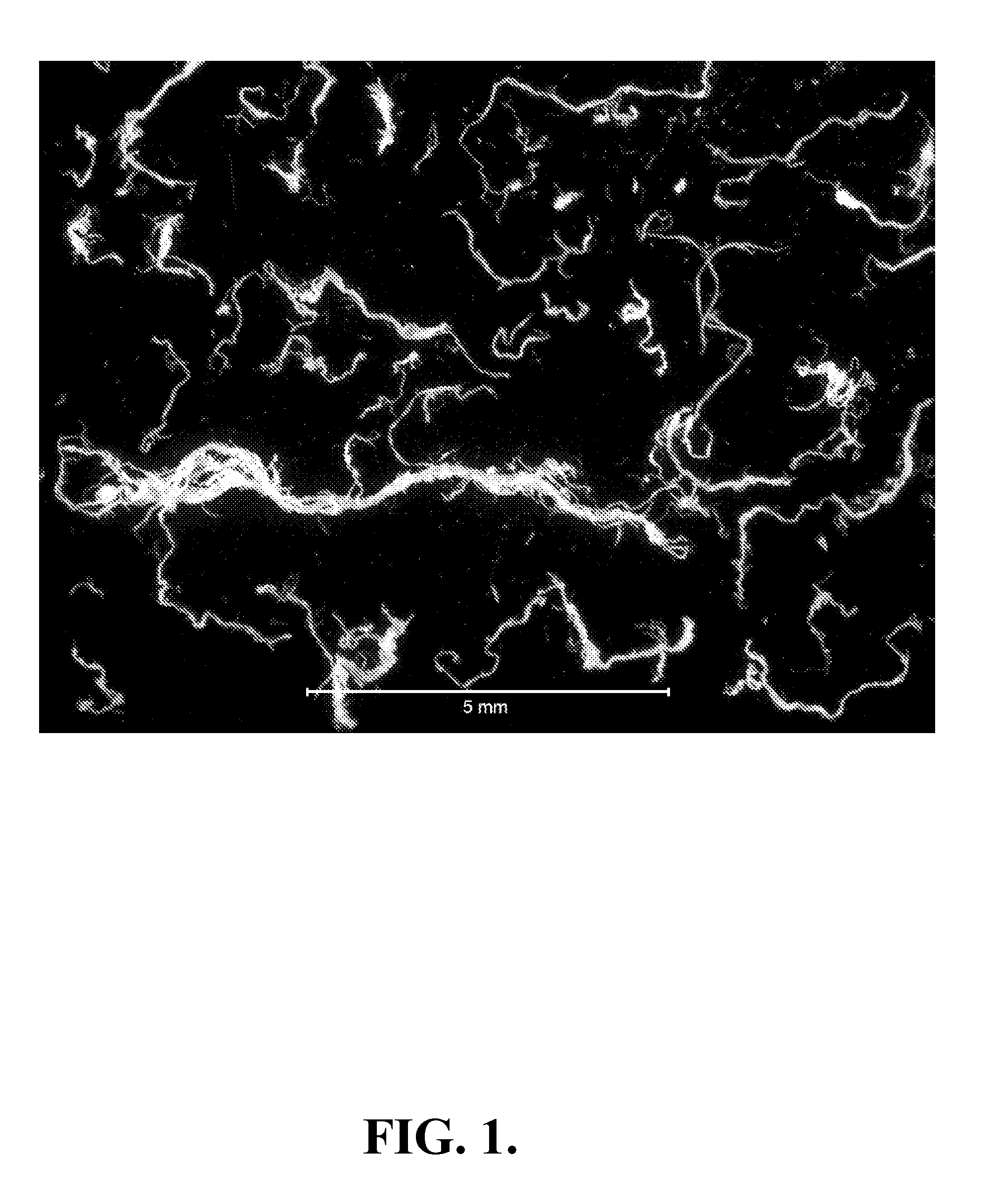 Methods for the preparation of mixed polymer superabsorbent fibers containing cellulose