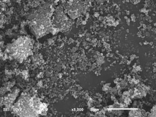 A kind of preparation method of double-layer hollow nitrogen-doped carbon ball-coated copper nano-catalyst