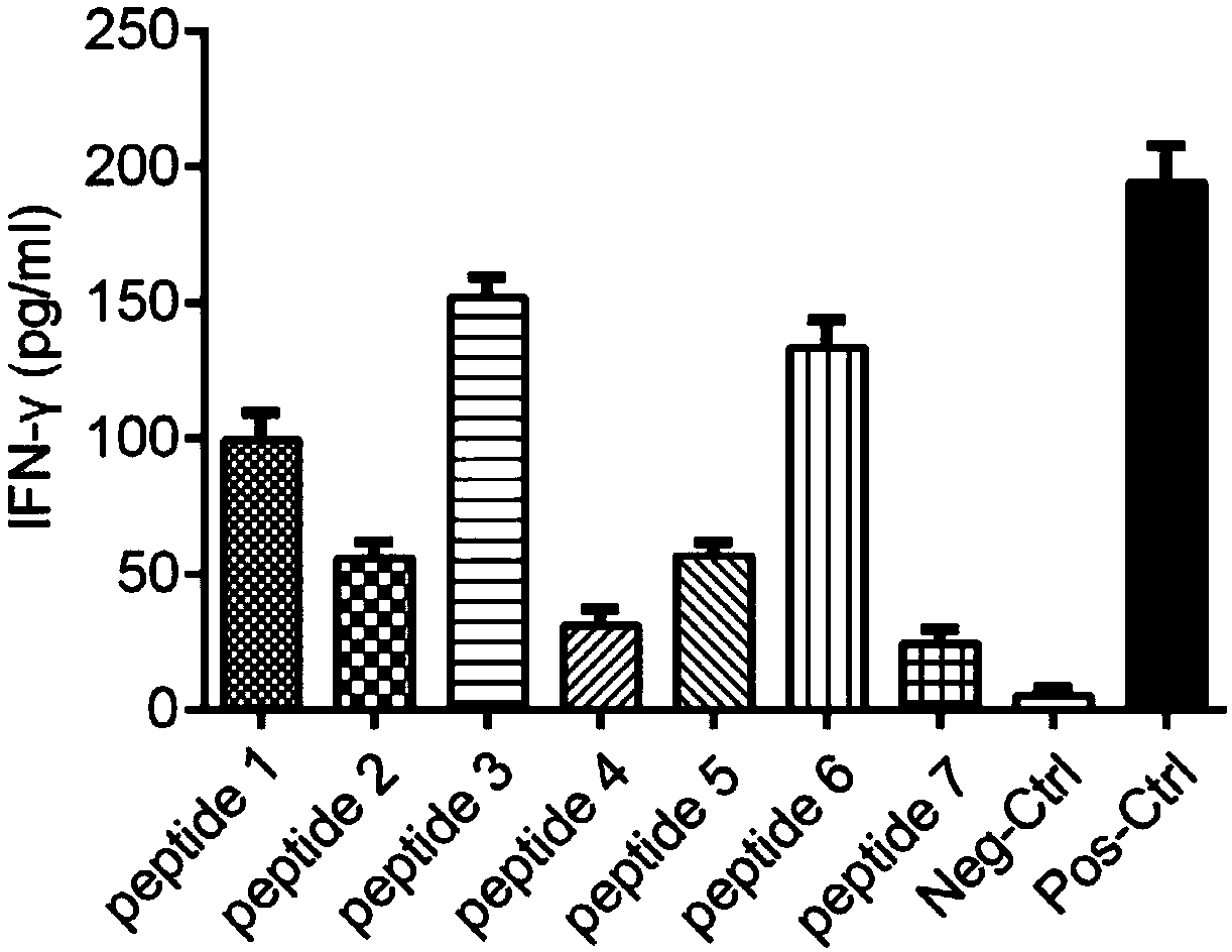 Fusion protein, cell exosome and tumor vaccine, and application thereof