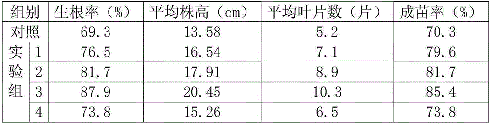 Elderberry cutting rooting promoting method