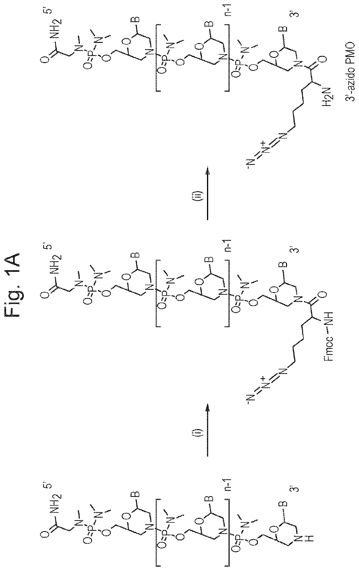 Cell penetrating molecule