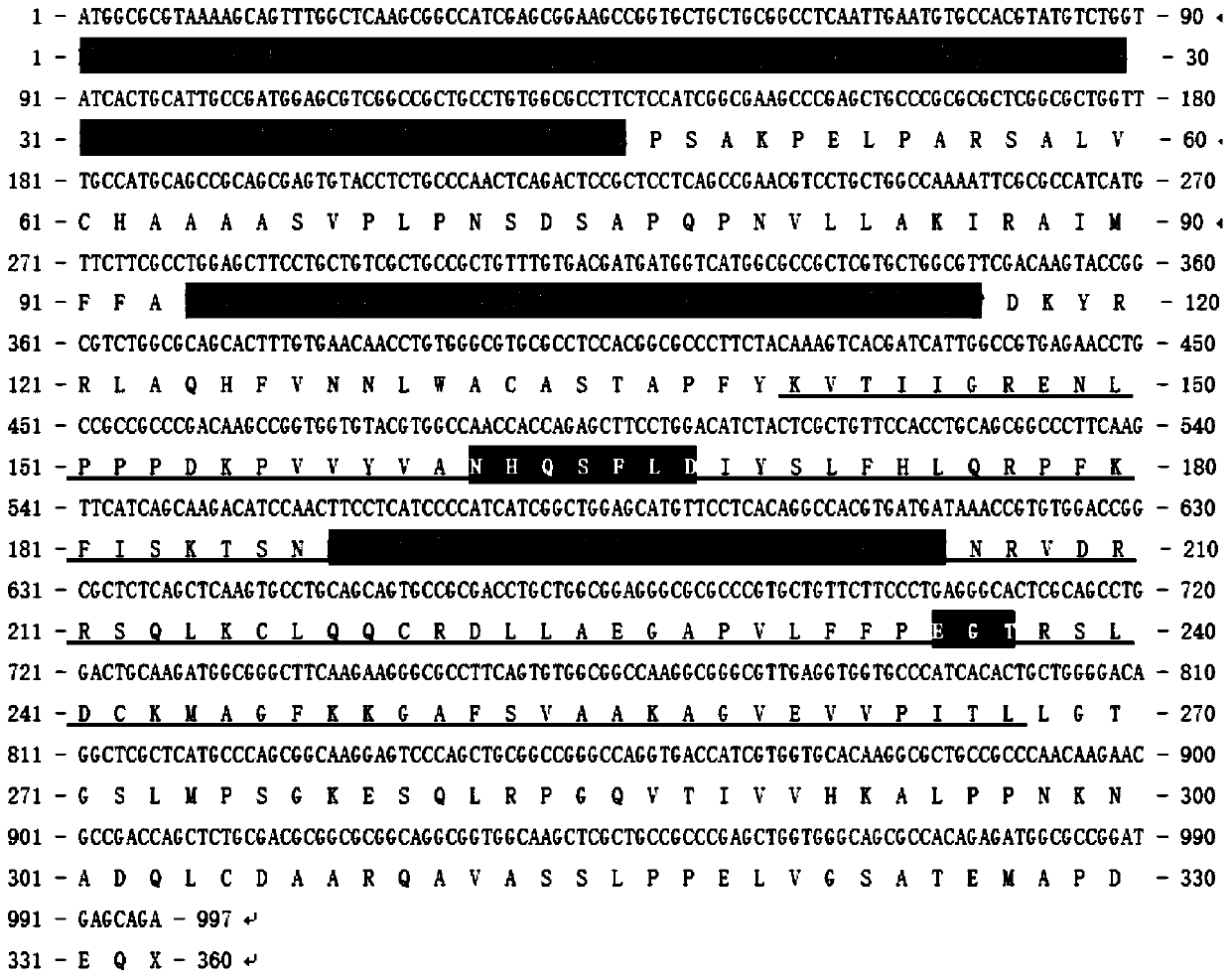 Chlamydomonas reinhardtii hemolytic phosphatidic acid acyltransferase and its gene and application