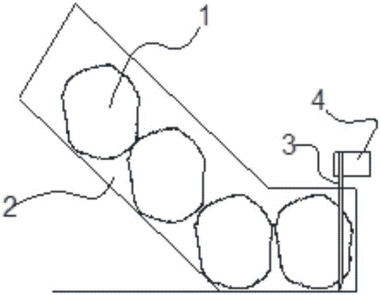 Frozen beverage containing fruit pulp and production technology of frozen beverage