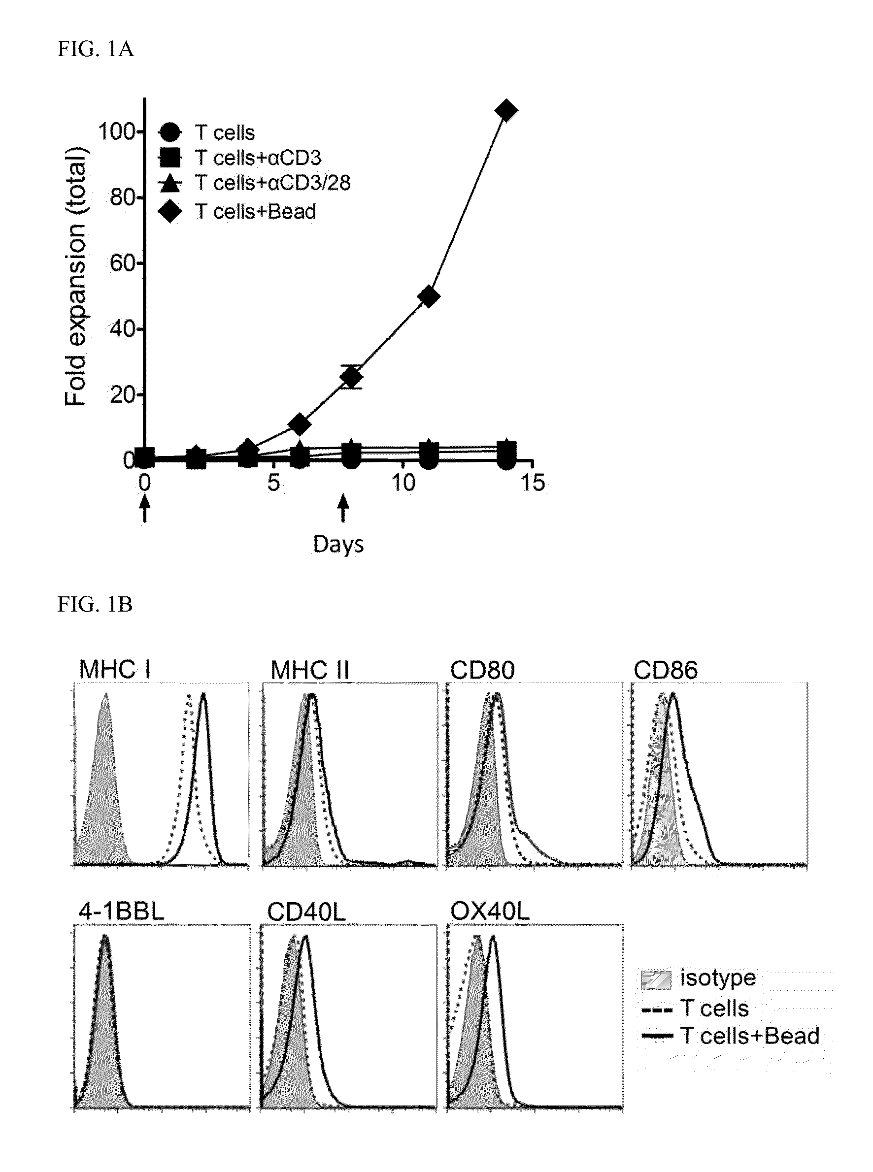 CD4 T Cell Vaccine and Use Thereof