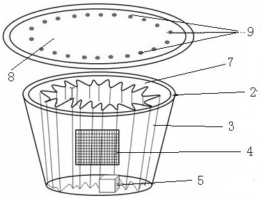 A self-mutilating insect breeding and egg collection method