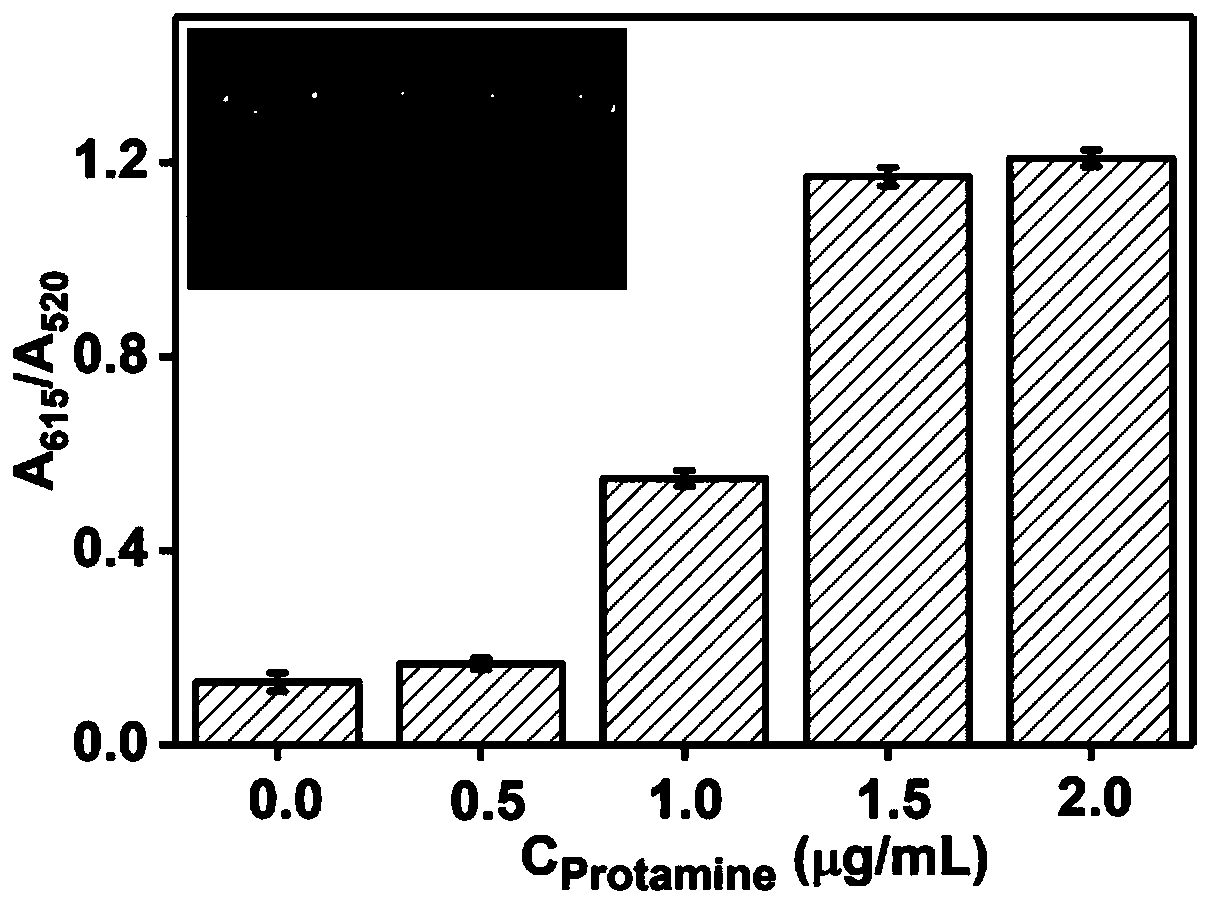 Nuclease detection method based on protamine assistance and kit