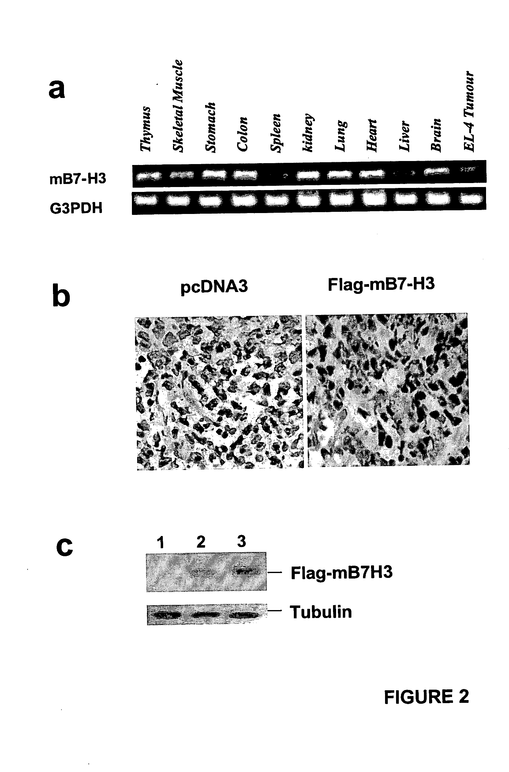 Methods of treatment and compositions therefor