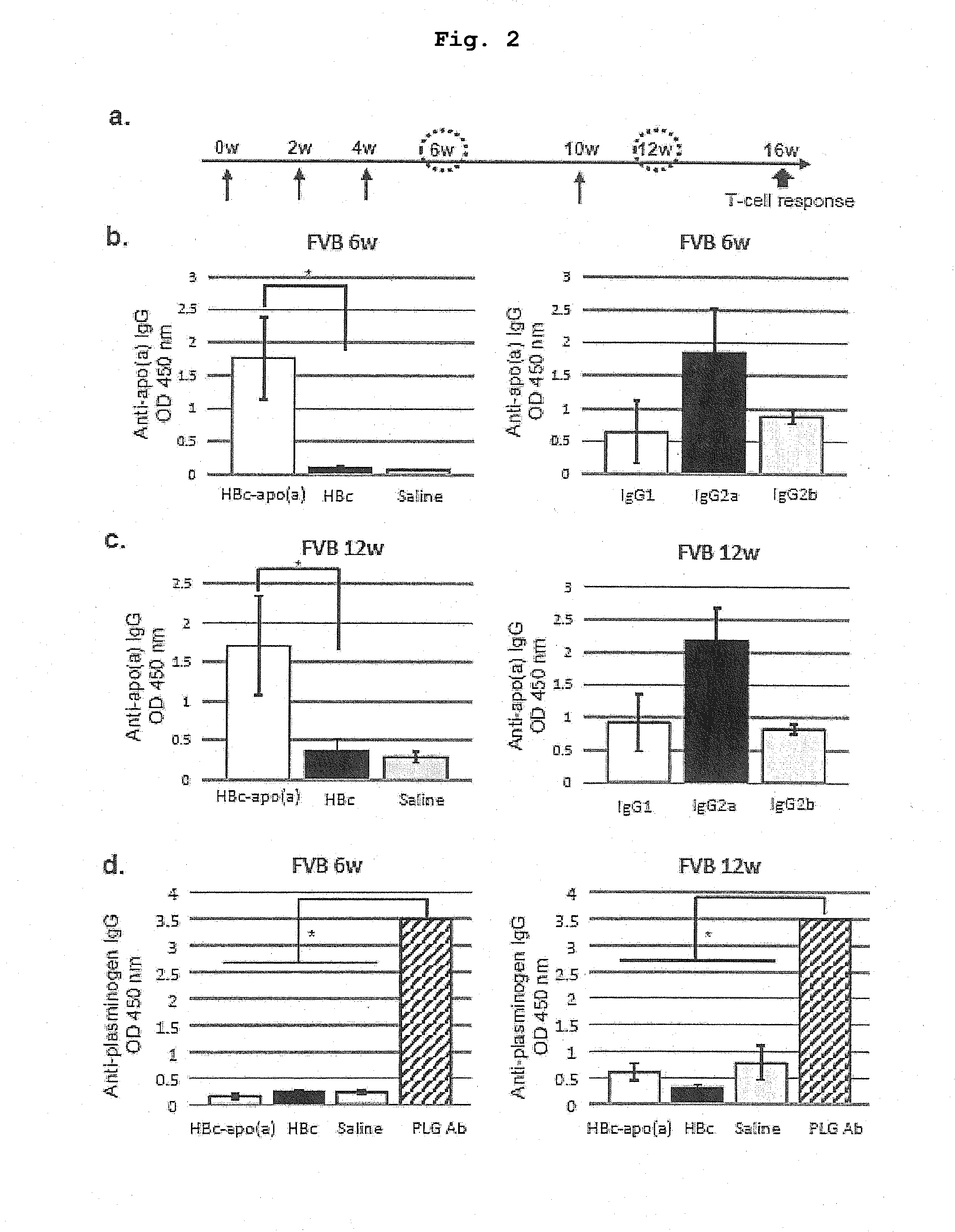DNA VACCINE CONTAINING SPECIFIC EPITOPE OF APOLIPOPROTEIN (a)