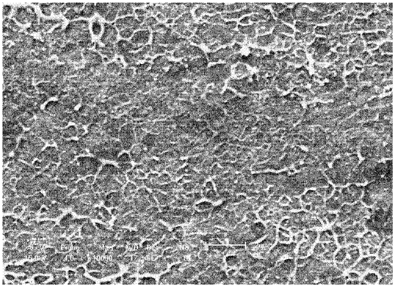 Polyaryletherketone/polyaniline-carbon nanotube composite material with high dielectric property and preparation method thereof