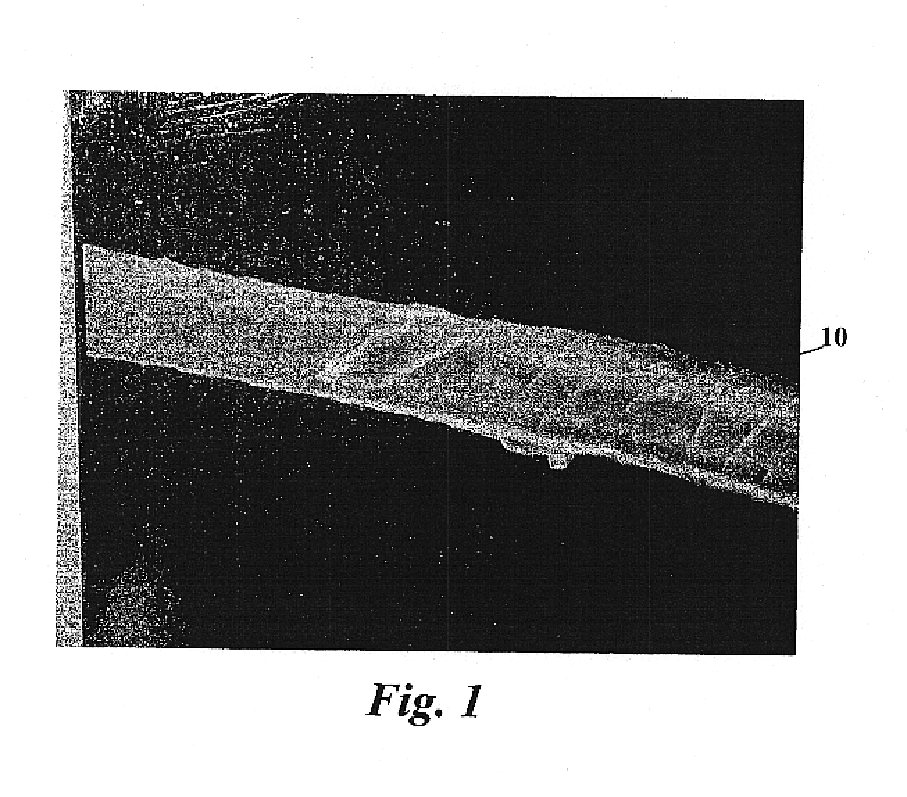 Pet food compositions having electrostatically charged ingredient