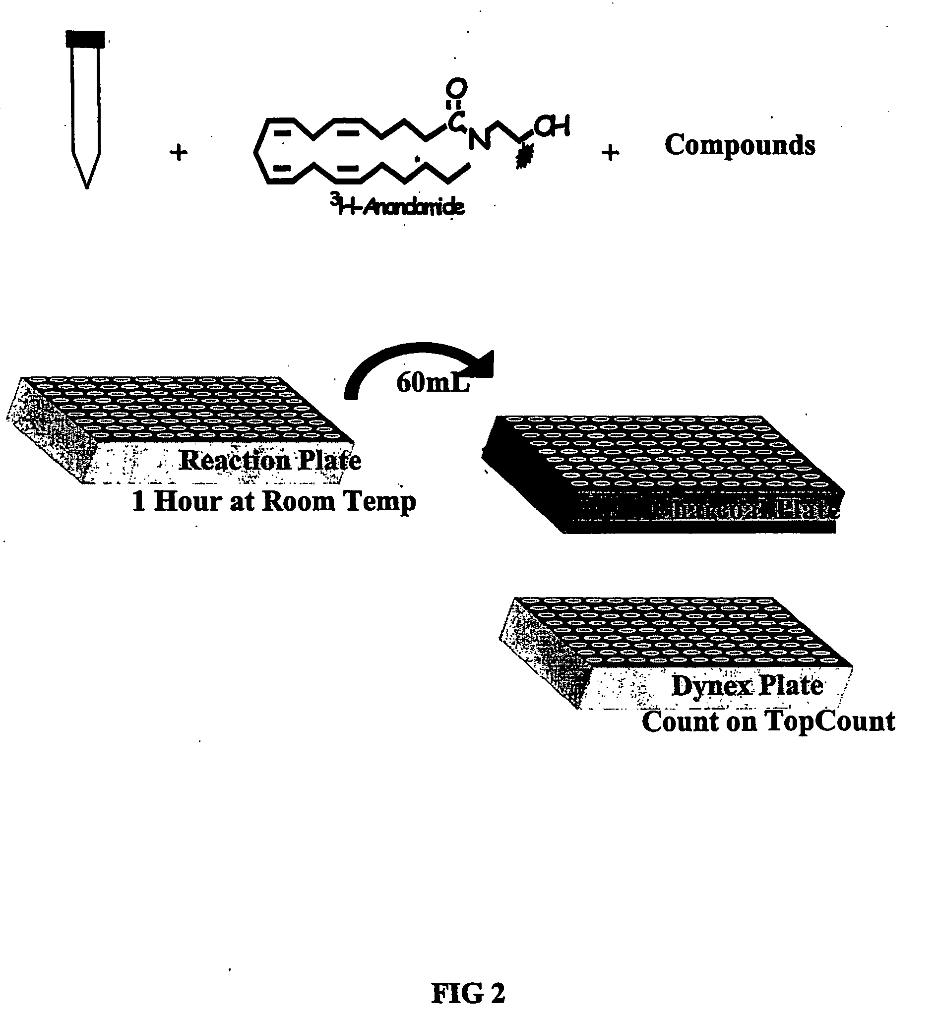Assay for determining the activity of fatty acid amide hydrolase
