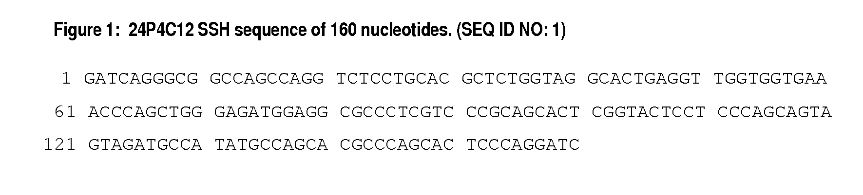 Antibodies to tumor associated proteins