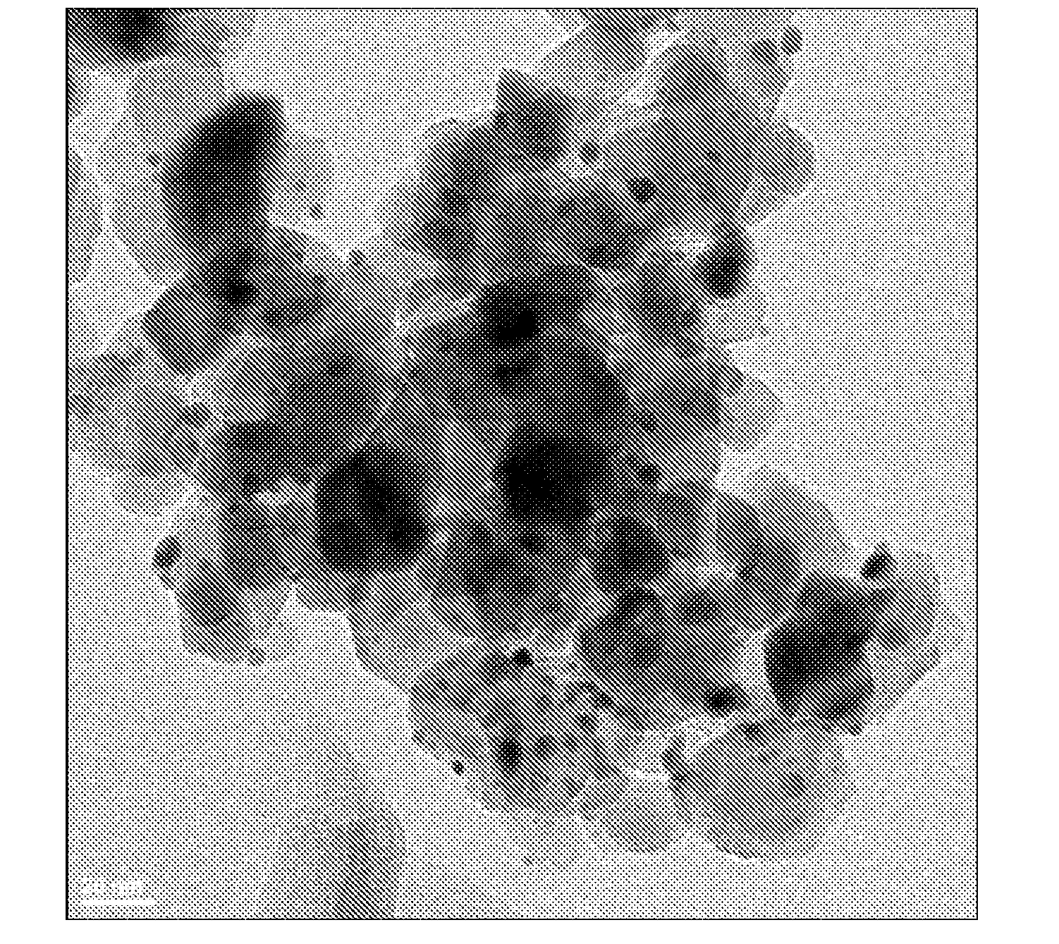 Oxidation Catalysts