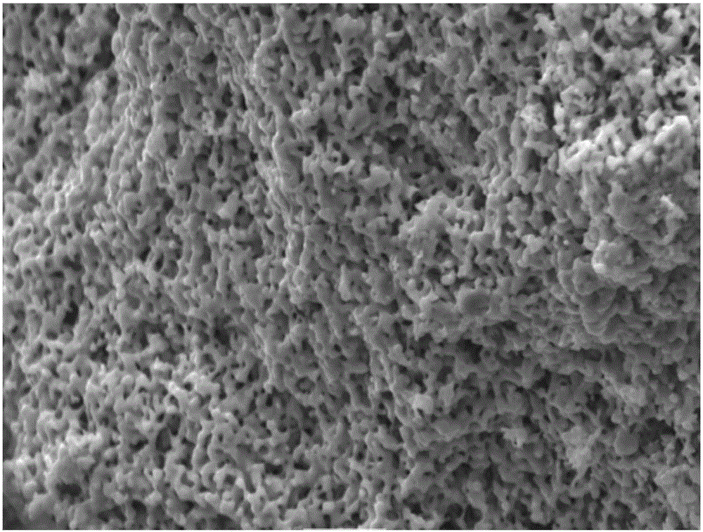 Method for preparing porous titanium powder