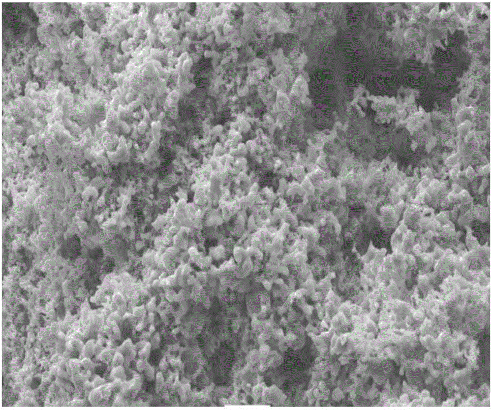 Method for preparing porous titanium powder