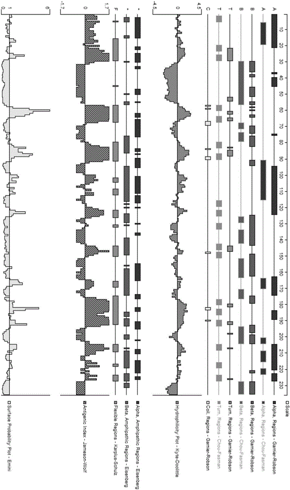 TNF-Alpha protein B cell epitopes, multiple antigen peptide with TNF-Alpha protein B cell epitopes, and application of multiple antigen peptide