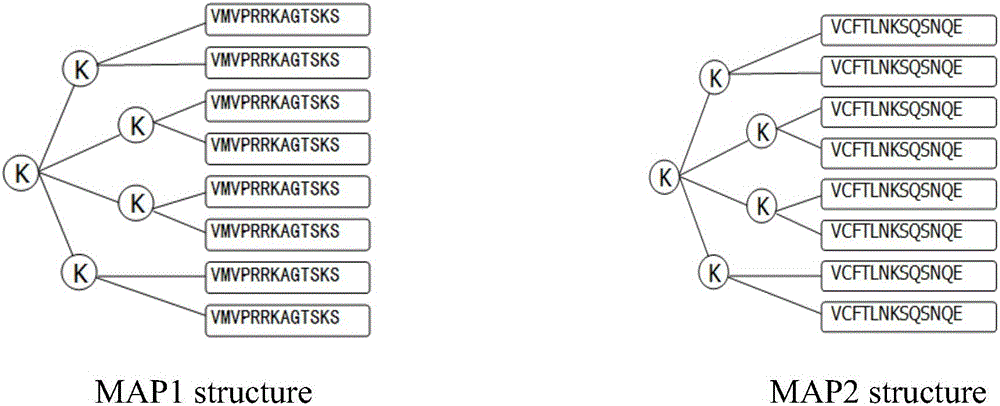 TNF-Alpha protein B cell epitopes, multiple antigen peptide with TNF-Alpha protein B cell epitopes, and application of multiple antigen peptide