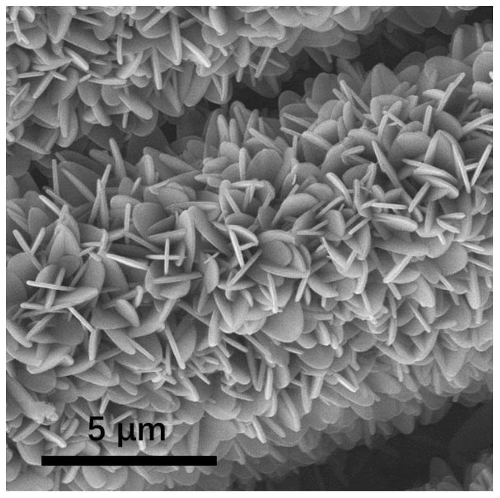 Preparation method of two-dimensional carbon nanosheet array loaded metal monatomic