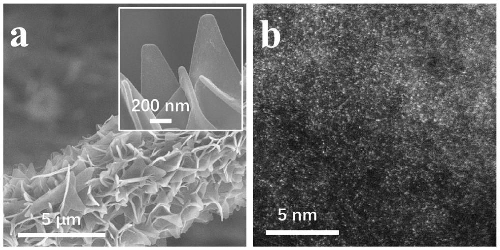 Preparation method of two-dimensional carbon nanosheet array loaded metal monatomic