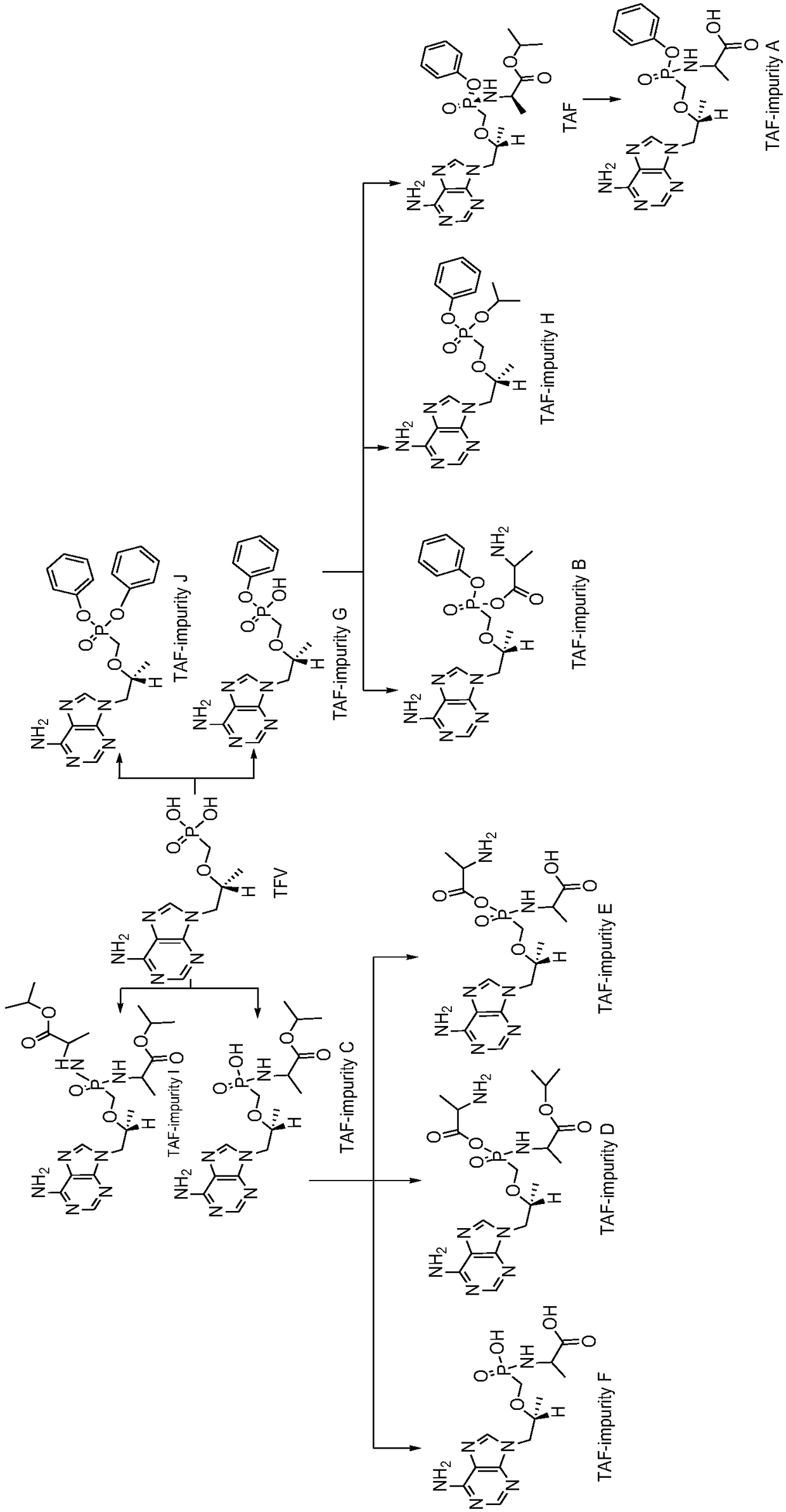 Synthesis method of potential impurities in production of tenofovir alafenamide hemifumarate