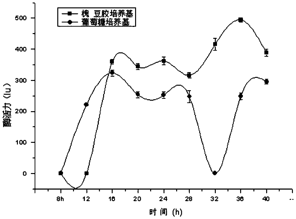 A kind of alkalophilic bacillus ntt33c6 producing constitutive mannanase and its application