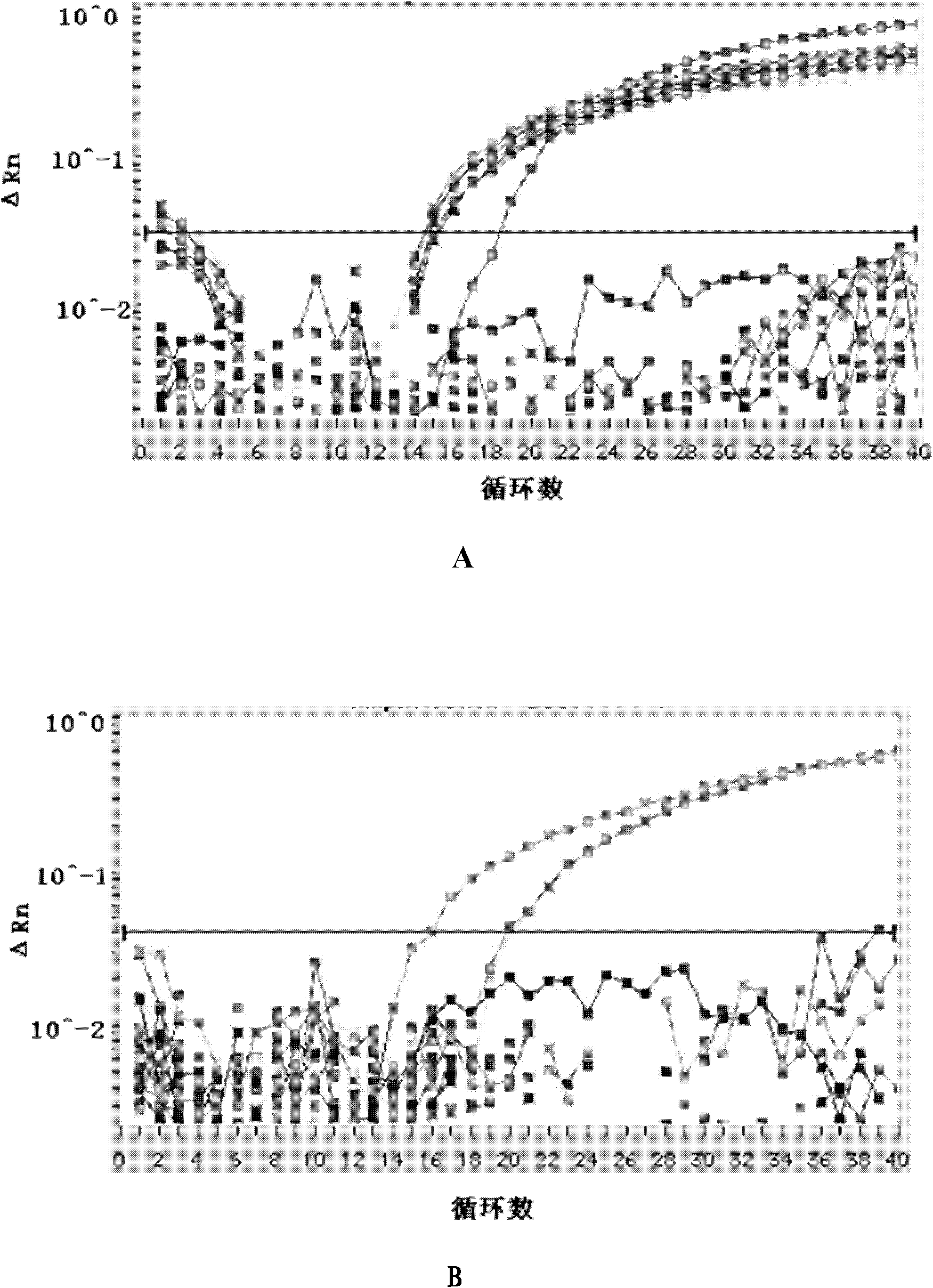 Real-time fluorescence PCR detection method and kit for sudden death syndrome virus of soybean